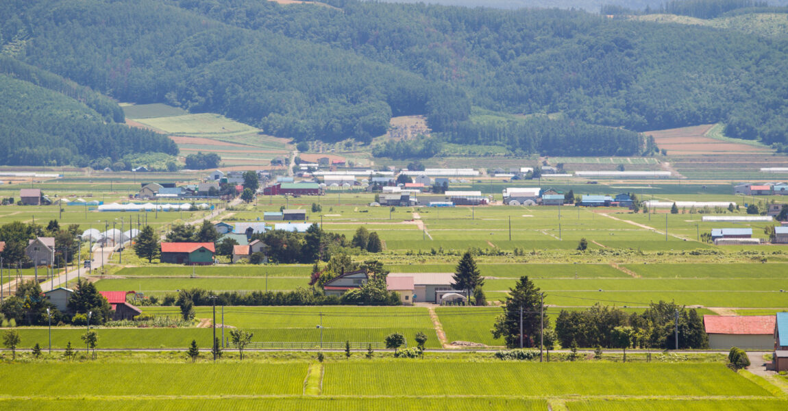 KOTA SUBURBAN DI JEPANG